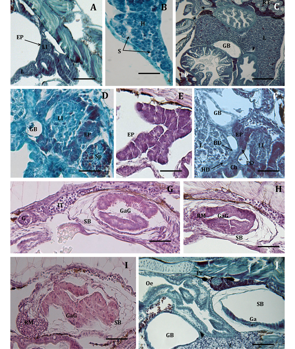 sm4091fig7.jpg