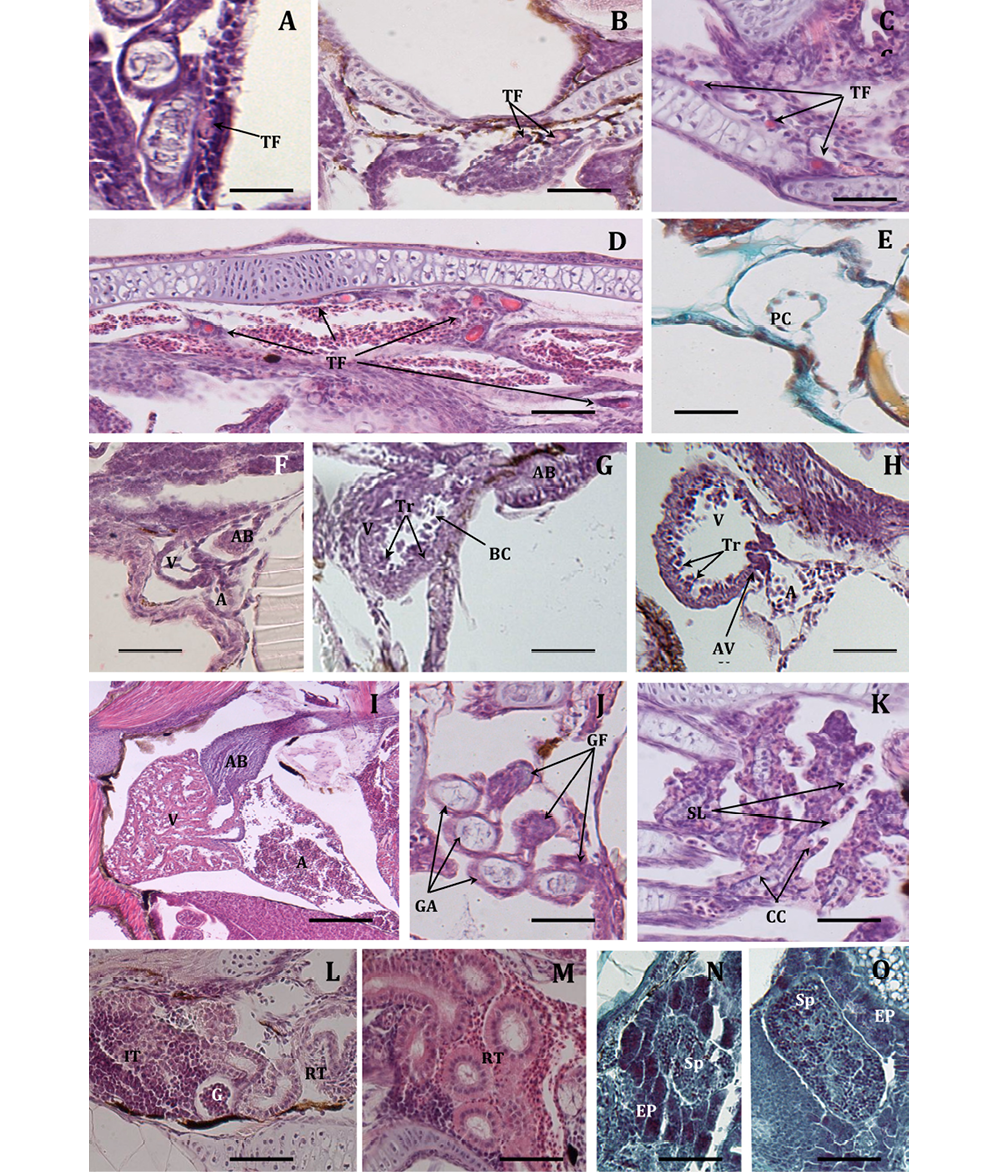 sm4091fig8.jpg