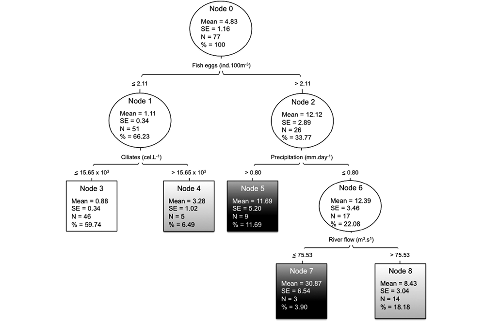 sm4081fig6.jpg