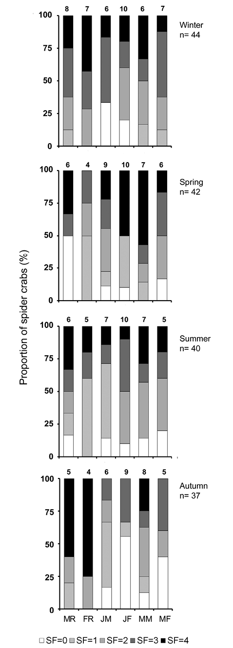 sm4060fig2.jpg