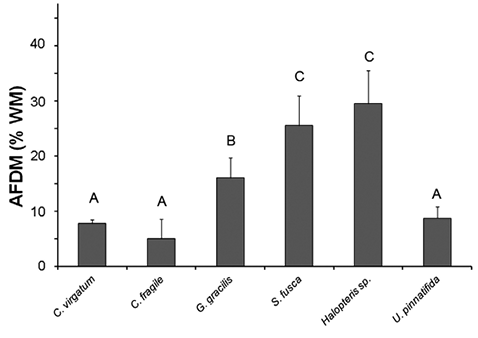sm4060fig3.jpg