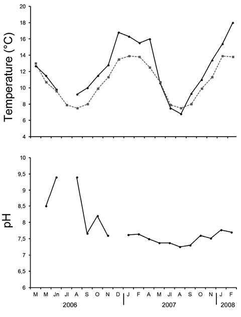 sm4060fig4.jpg