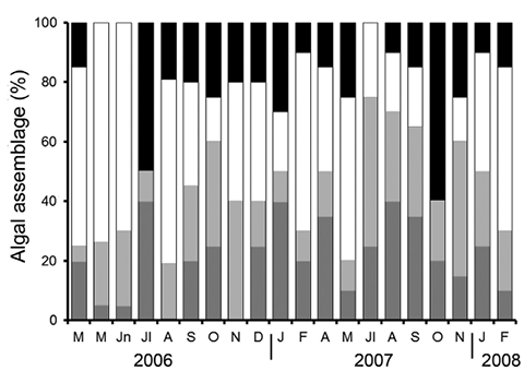 sm4060fig5.jpg