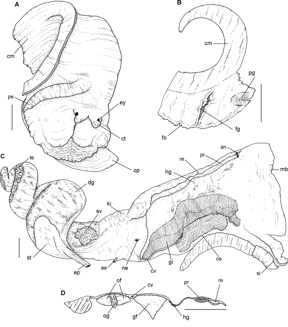 sm4144fig2.jpg