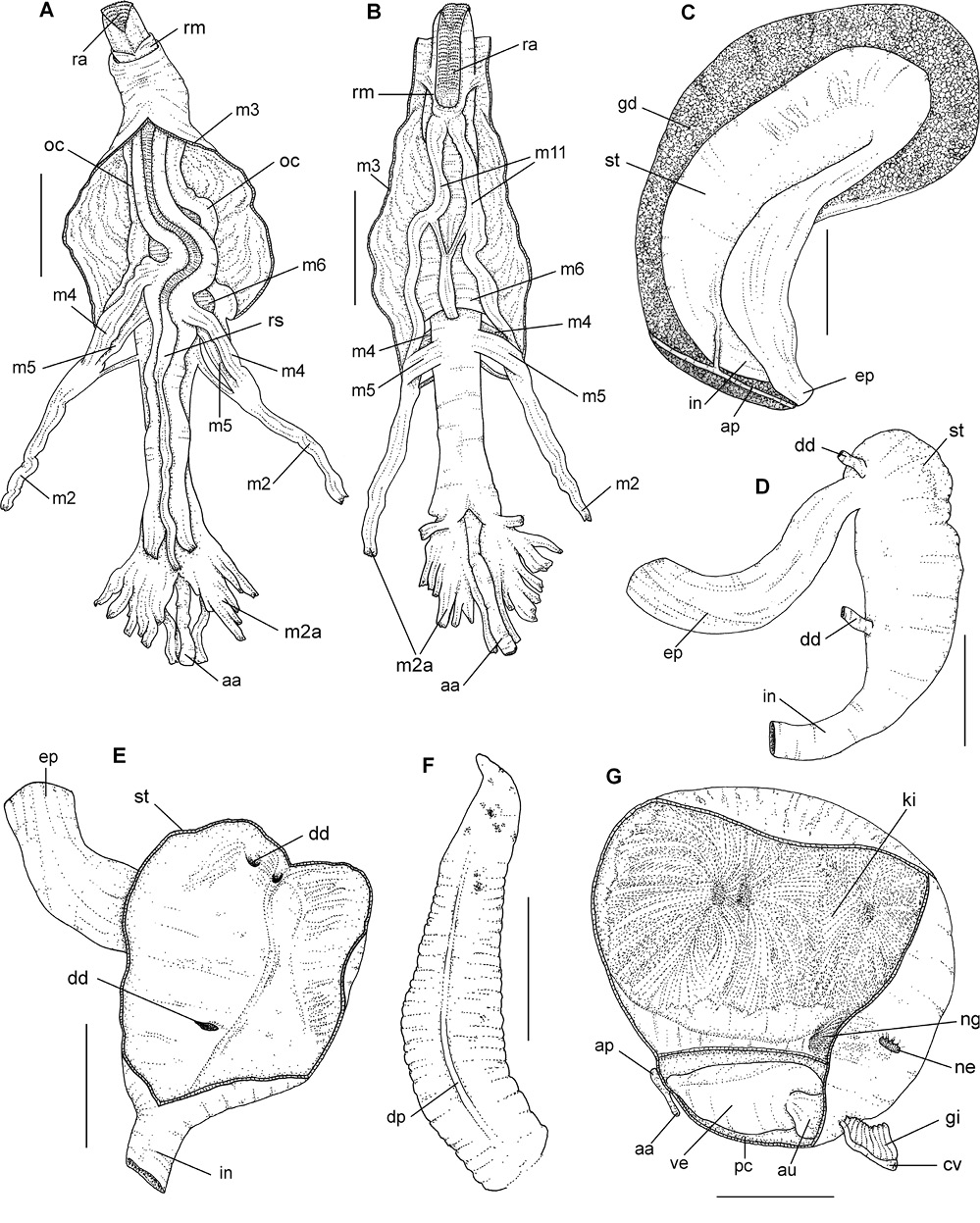 sm4144fig4.jpg