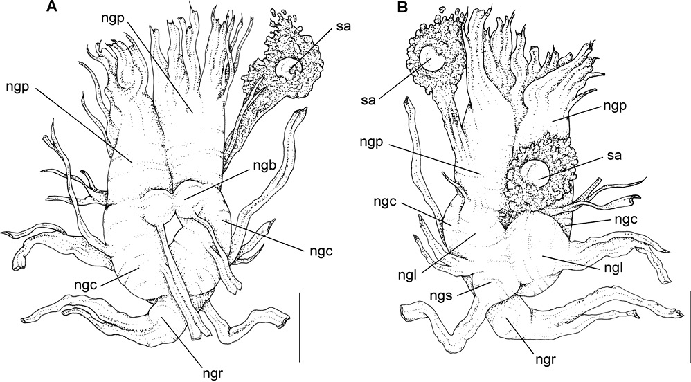 sm4144fig5.jpg