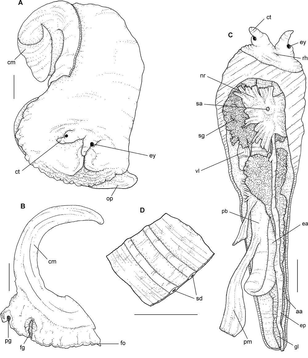sm4144fig7.jpg