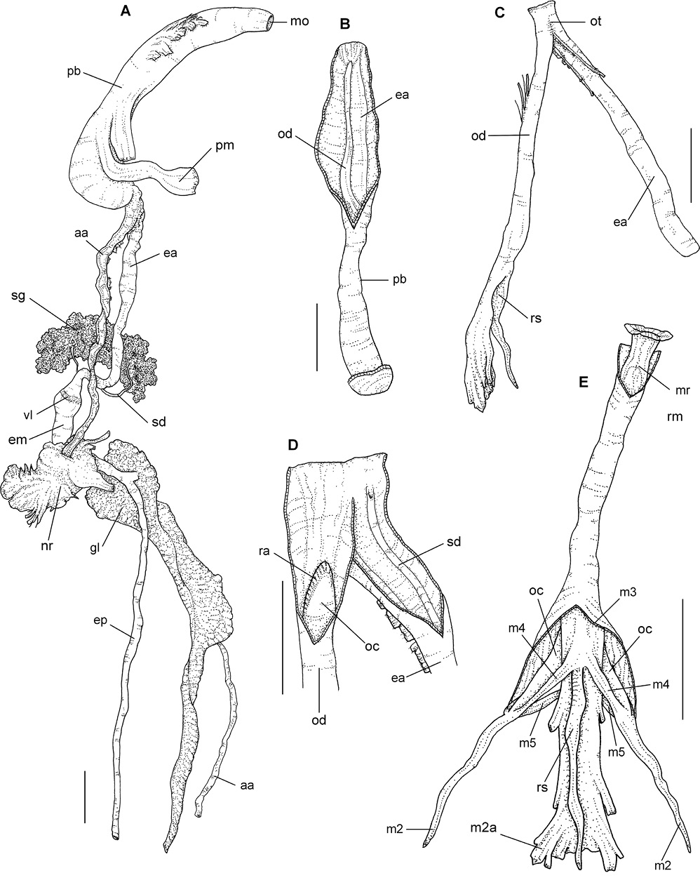 sm4144fig8.jpg