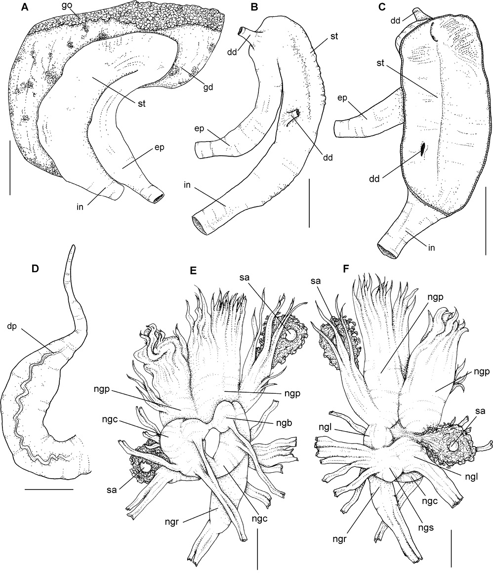 sm4144fig9.jpg