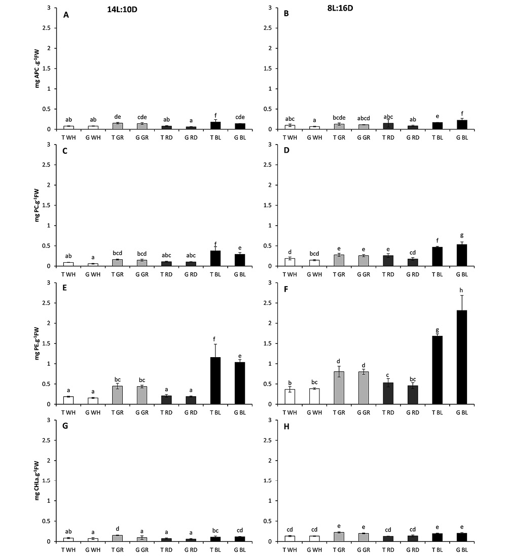 sm4049fig5.jpg