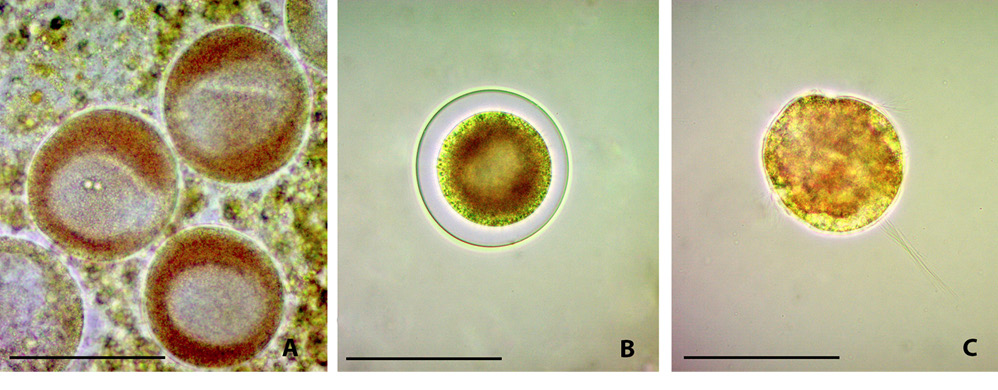 sm4127fig5.jpg