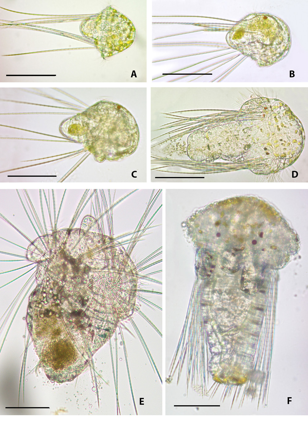 sm4127fig6.jpg