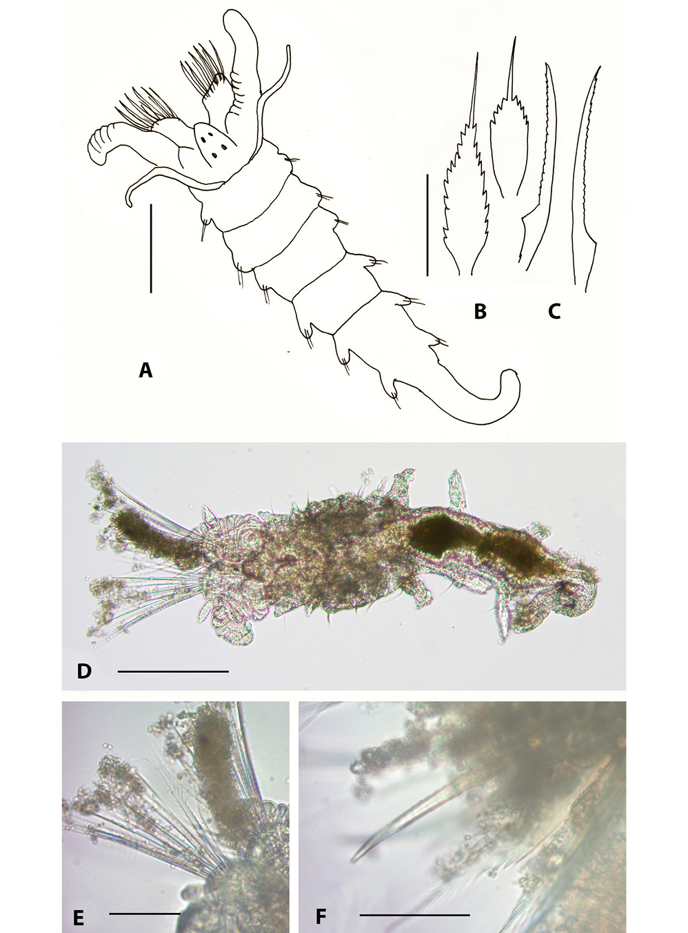 sm4127fig9.jpg