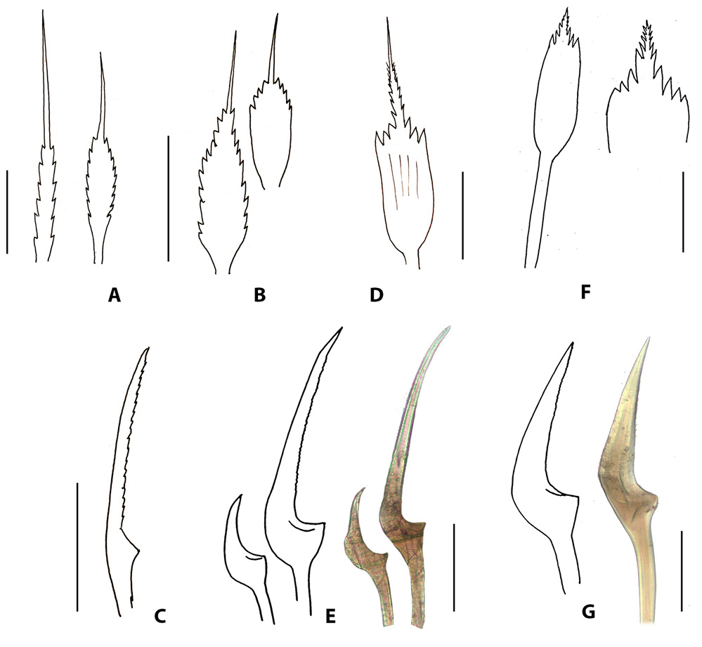 sm4127fig12.jpg