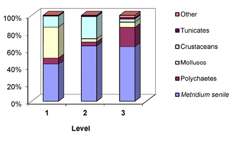 sm4082fig2.jpg