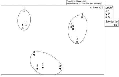 sm4082fig6.jpg