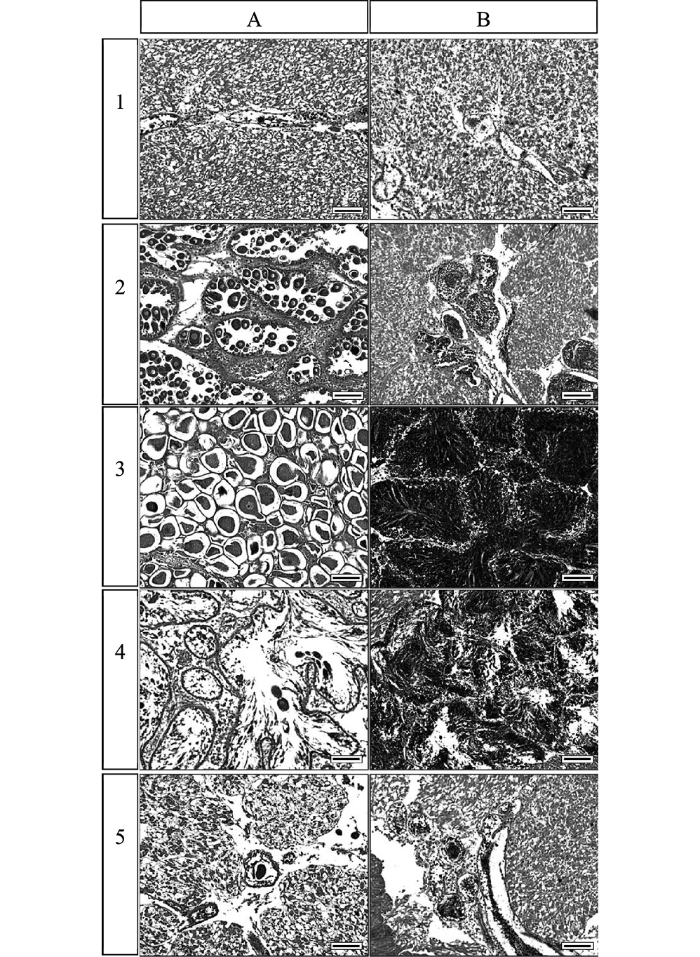 sm4155fig2.jpg