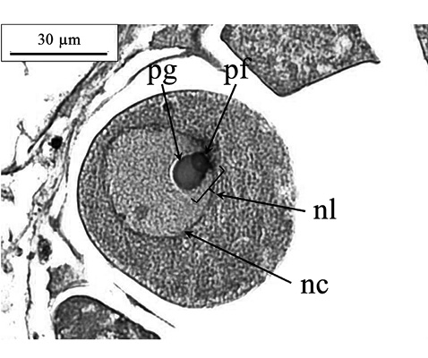 sm4155fig6.jpg