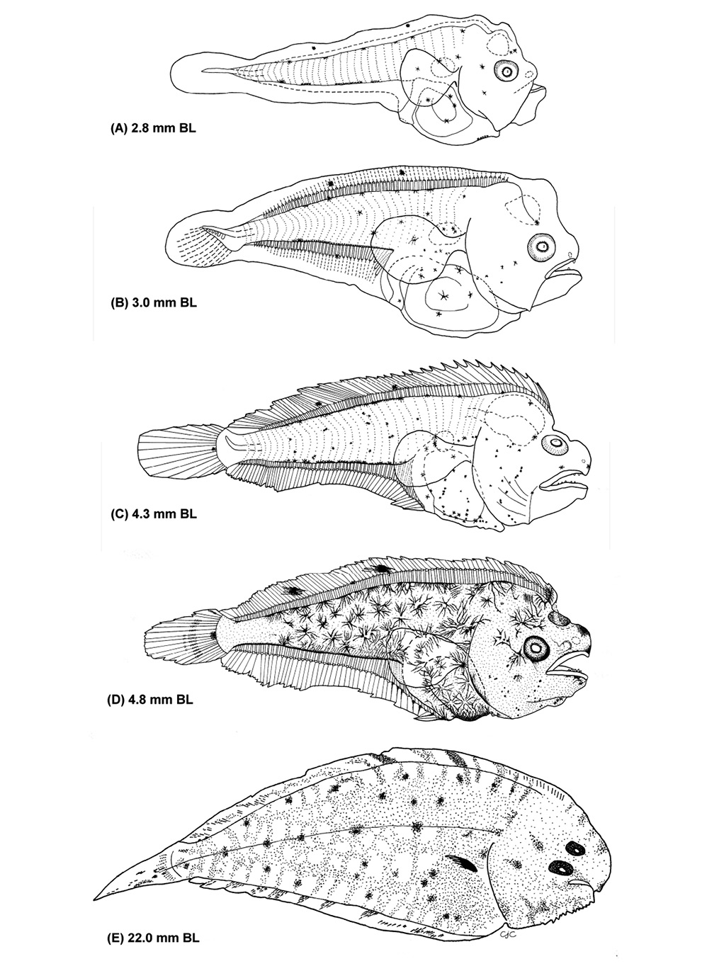 sm4193fig2.jpg