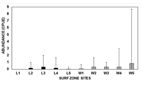 sm4193fig3.jpg