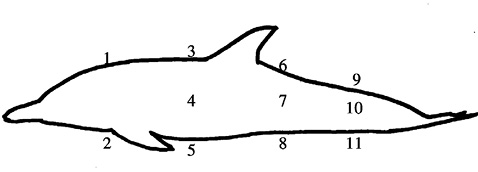 sm4093fig1.jpg