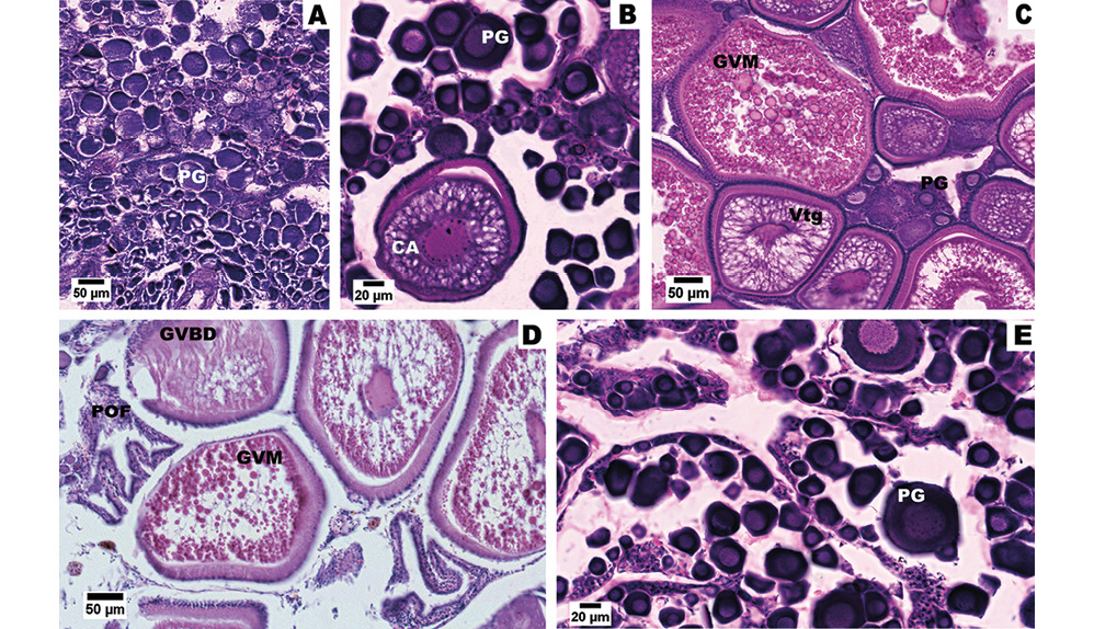 sm4176fig3.jpg