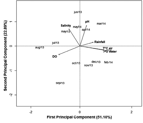 sm4176fig11.jpg