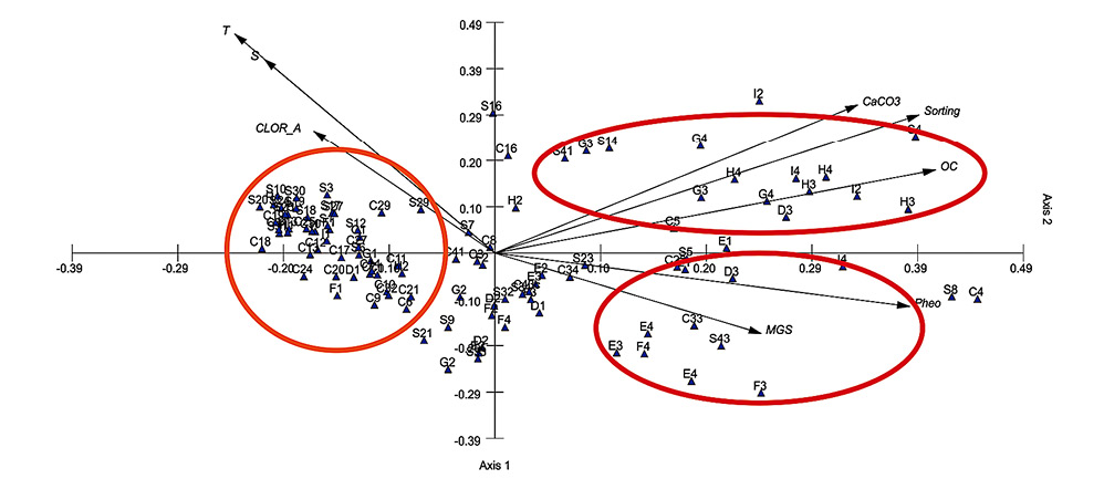 sm4196fig4.jpg
