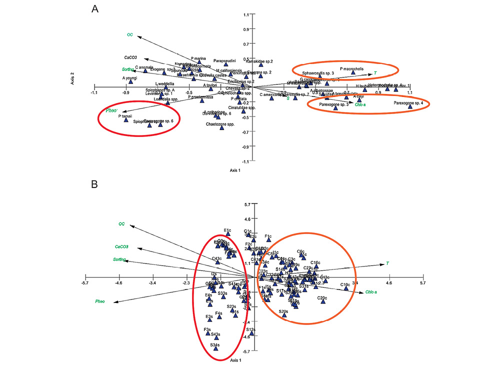 sm4196fig6.jpg
