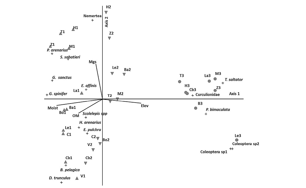 sm4133fig5.jpg