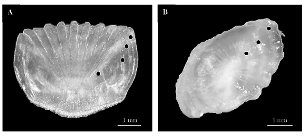 sm4234fig1.jpg