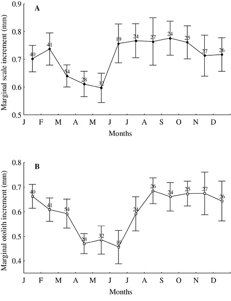 sm4234fig2.jpg