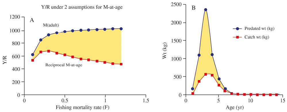 sm4230fig4.jpg