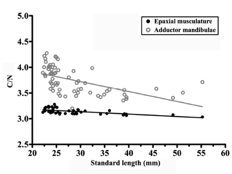 sm4225fig4.jpg