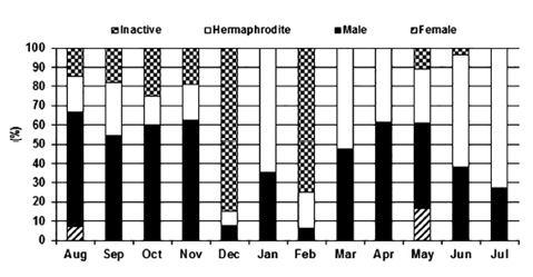 sm4202fig3.jpg