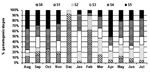 sm4202fig4.jpg