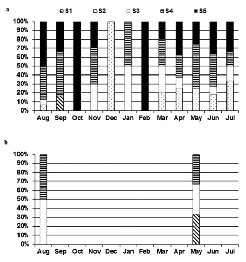 sm4202fig5.jpg
