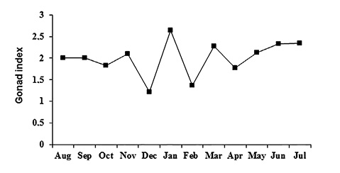 sm4202fig8.jpg