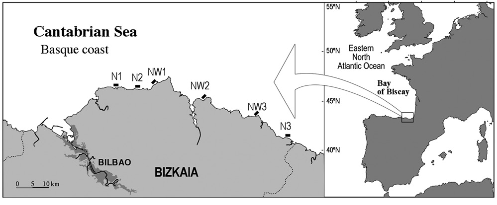 sm4239fig1.jpg