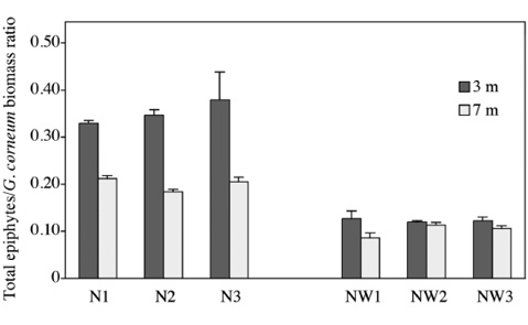 sm4239fig2.jpg