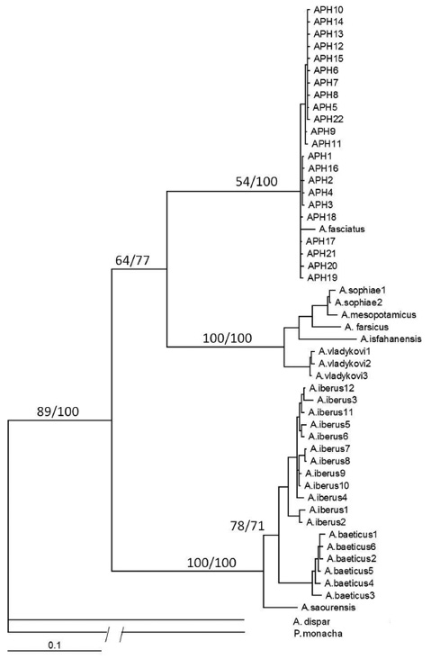 sm4198fig3.jpg