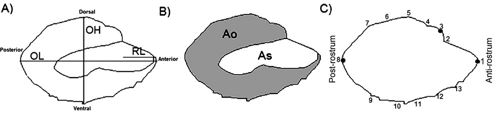 sm4218fig2.jpg