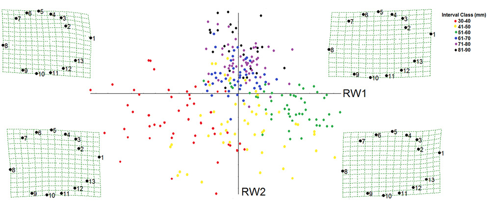 sm4218fig7.jpg