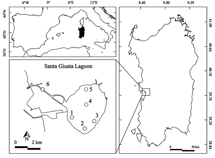 sm4292fig1.jpg