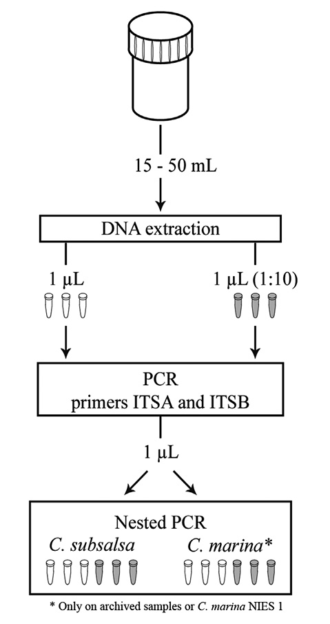 sm4292fig2.jpg