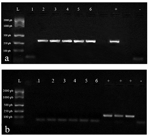 sm4292fig3.jpg
