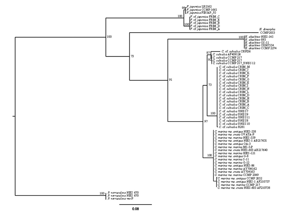 sm4292fig5.jpg