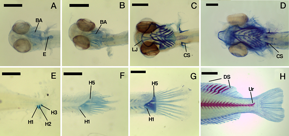 sm4265fig3.jpg
