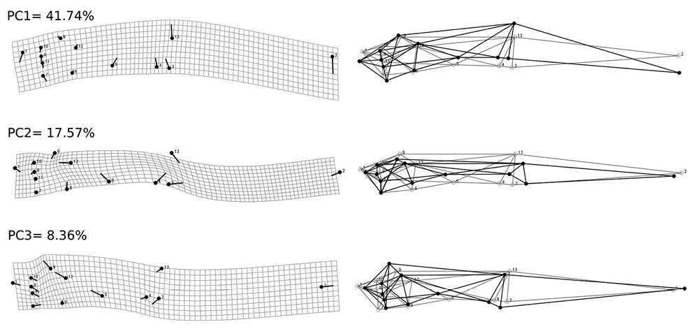 sm4265fig5.jpg
