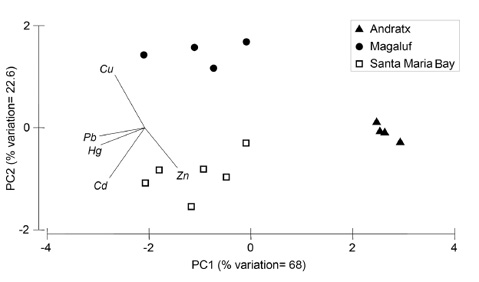 sm4255fig3.jpg